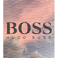 Brand Catalog-ZX 408